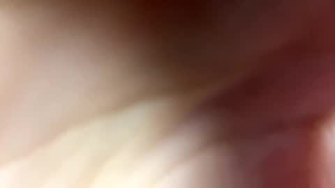 Snapshot of monicav21 chatting on December 11, 8:36 am Monica online show from December 11, 8:36 am