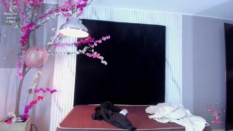 Snapshot of monik_fox_cr chatting on October 27, 7:51 pm MONIK FOX online show from October 27, 7:51 pm