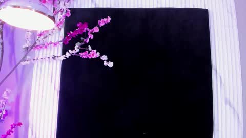 Snapshot of monik_fox_cr chatting on November 17, 7:41 pm MONIK FOX online show from November 17, 7:41 pm