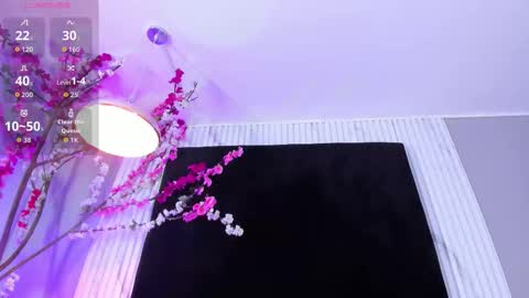 Snapshot of monik_fox_cr chatting on December 2, 8:37 pm MONIK FOX online show from December 2, 8:37 pm