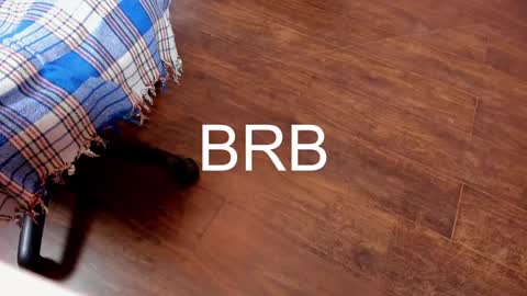 Monika NO c2c ever. PVT free Naked Fingering pussy doggy or standing BJ HJ Feet Fashion. PVT extra Toy control 400tk. online show from February 6, 11:37 pm