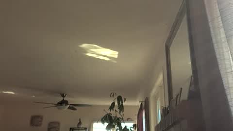 Snapshot of monkeedance chatting on November 18, 9:19 pm Monkee Dance online show from November 18, 9:19 pm