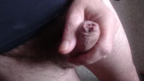 monkeypawpony online show from November 11, 8:25 am