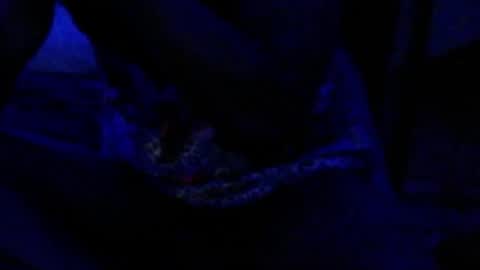 Snapshot of montydxxx2 chatting on December 17, 4:35 pm montydxxx2 online show from December 17, 4:35 pm