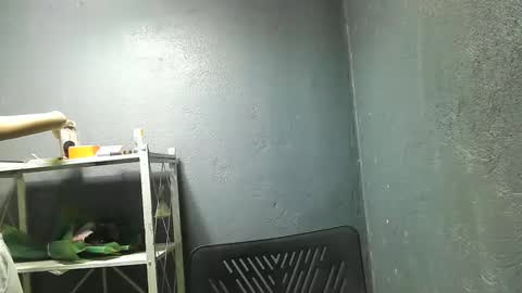 Snapshot of morenang_pinay chatting on November 23, 7:41 am morenang_pinay online show from November 23, 7:41 am