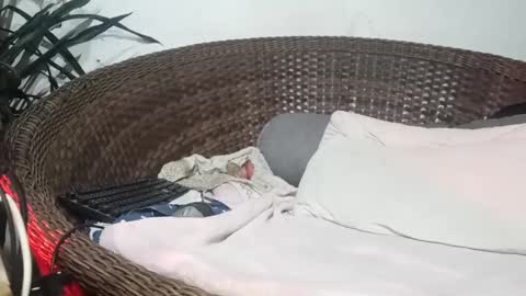 Snapshot of moreno_lutador chatting on February 17, 4:31 am John john online show from February 17, 4:31 am