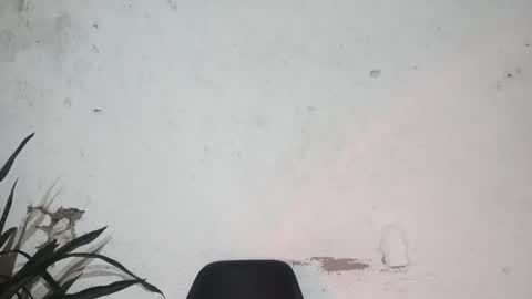 Snapshot of moreno_lutador chatting on February 24, 6:27 am John john online show from February 24, 6:27 am