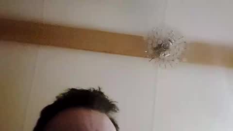 Snapshot of morley1984587135 chatting on November 29, 3:09 am morley1984587135 online show from November 29, 3:09 am