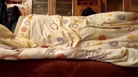 Nomadu online show from December 8, 6:01 am