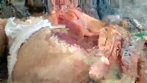 Arab boy online show from November 24, 12:05 pm