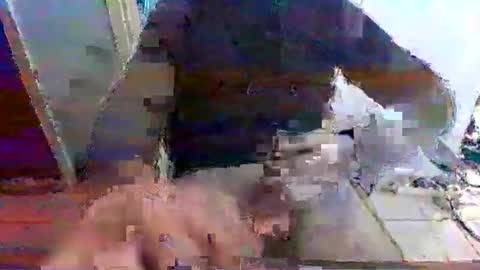 mppempis81 online show from November 15, 7:27 am