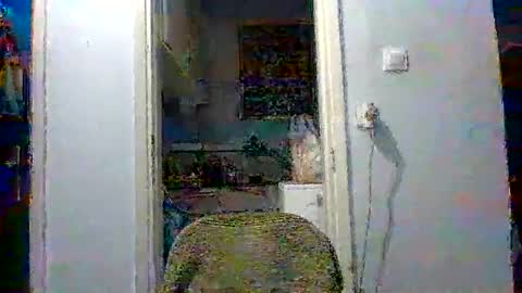 mppempis81 online show from December 4, 3:32 pm