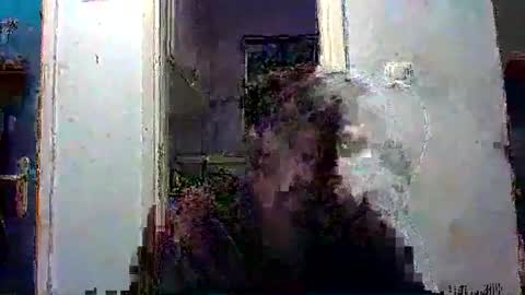 mppempis81 online show from December 13, 7:53 pm