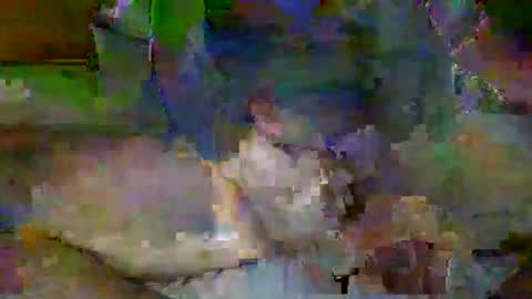 Mr-E online show from April 6, 2:09 am