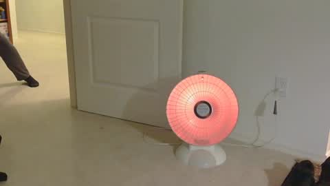 Snapshot of mrf388 chatting on November 17, 12:33 pm IwantU2WatchME online show from November 17, 12:33 pm