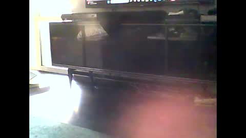 Nikola online show from January 10, 12:15 pm