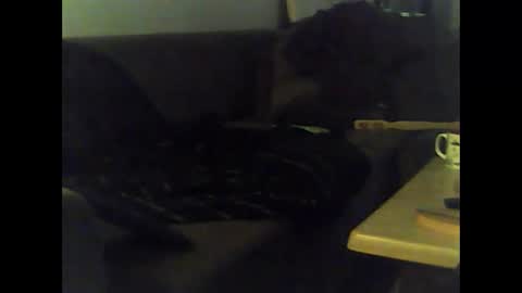 Nikola online show from January 12, 12:01 pm