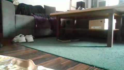 Nikola online show from February 27, 11:52 am