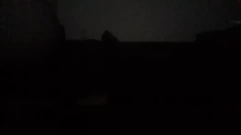 Nikola online show from October 15, 12:44 am