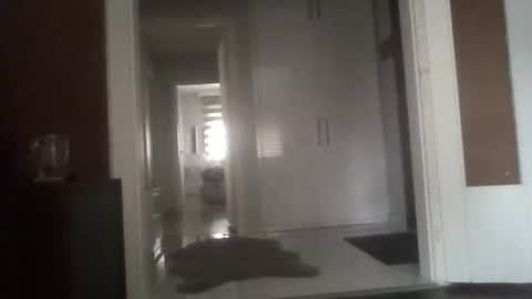 Nikola online show from March 13, 6:42 am