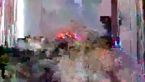 Snapshot of mrmountainman91 chatting on December 22, 5:54 pm mrmountainman91 online show from December 22, 5:54 pm