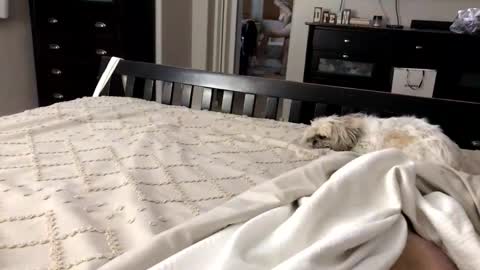 mrrogue online show from November 1, 5:20 am