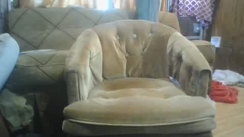 mrstergreen9 online show from October 5, 8:29 pm