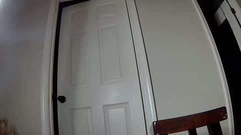 missqueenbbw online show from December 2, 3:37 am