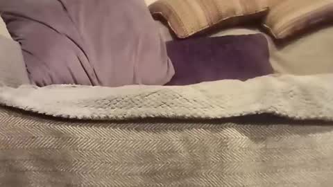 Snapshot of mtx9889 chatting on October 27, 10:47 pm mtx9889 online show from October 27, 10:47 pm