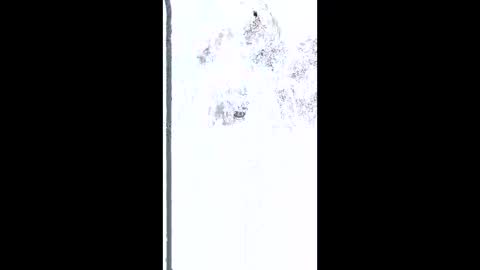 mudjimba online show from February 26, 5:17 am