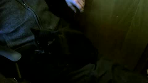 muller520 online show from March 12, 4:02 pm