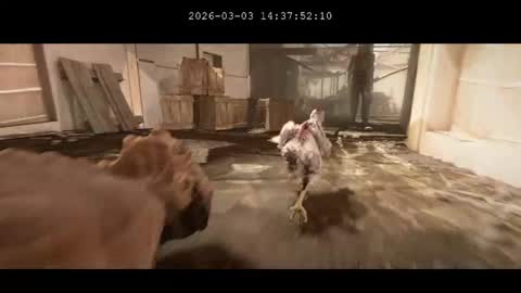 multitest101 online show from March 3, 10:37 pm