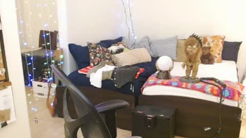 Snapshot of mycock4u247 chatting on February 14, 5:41 am LA MARIPOSA DE MARICOPA online show from February 14, 5:41 am