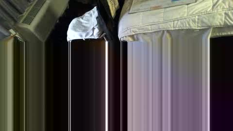 Snapshot of mycock4u247 chatting on November 13, 12:09 am LA MARIPOSA DE MARICOPA online show from November 13, 12:09 am