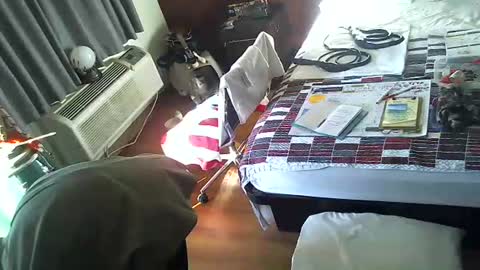 Snapshot of mycock4u247 chatting on November 30, 3:16 pm LA MARIPOSA DE MARICOPA online show from November 30, 3:16 pm