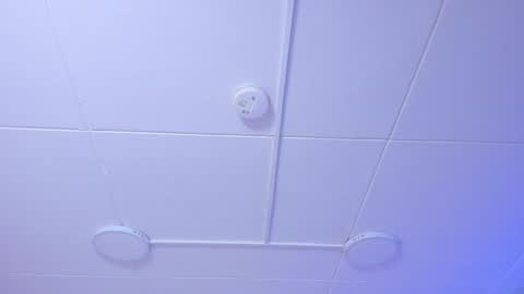 Naenia online show from November 21, 4:00 am