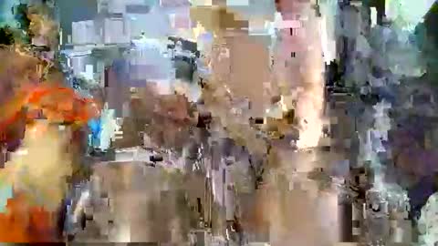 nafertiti online show from November 5, 4:40 pm