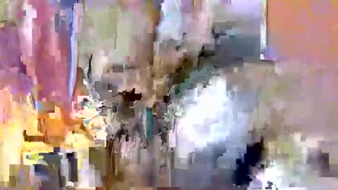 nafertiti online show from November 10, 3:49 am