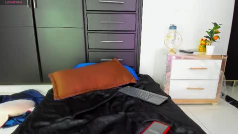 Snapshot of nala_omg2026 chatting on June 15, 12:46 am Nala online show from June 15, 12:46 am