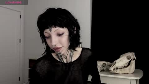 Snapshot of nananevaeragain chatting on December 28, 4:09 pm Nana online show from December 28, 4:09 pm