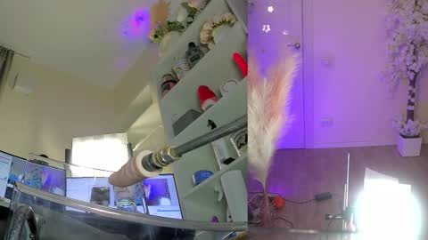 INSTAGRAM     bekkercat  online show from February 3, 9:03 am