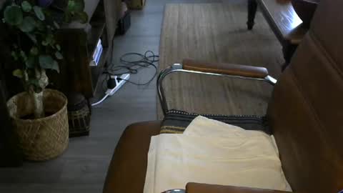 Snapshot of nareth338 chatting on April 8, 2:50 pm nareth338 online show from April 8, 2:50 pm