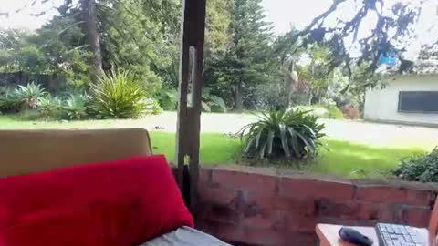 NatashaDiamond online show from June 23, 1:42 pm