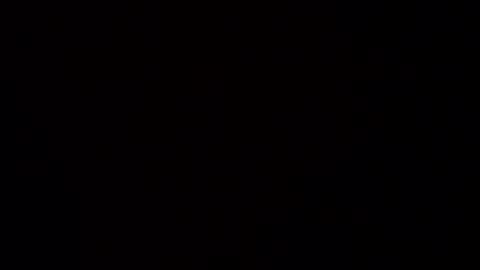 Haven online show from January 14, 12:22 pm