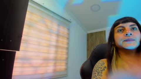 Kitten online show from May 7, 11:04 am