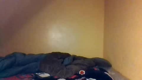 Snapshot of naughtyaura_ebony chatting on April 26, 8:39 pm Bree doll online show from April 26, 8:39 pm