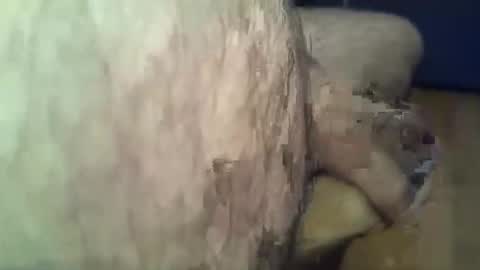 ncbncb online show from November 16, 2:44 pm