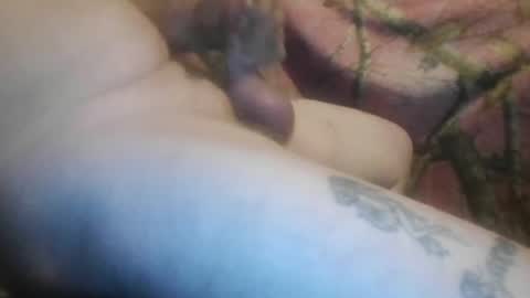 ned is naughty online show from February 12, 8:31 am