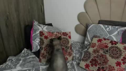 Snapshot of neeii chatting on November 11, 1:16 am Nei turn green online show from November 11, 1:16 am