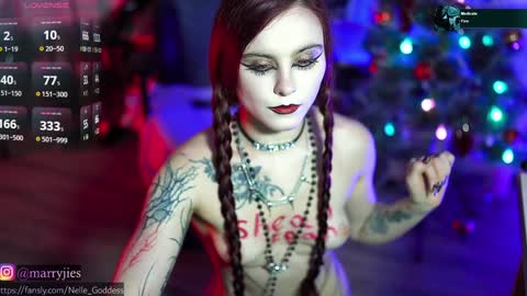 Snapshot of nelle_ chatting on December 30, 4:19 pm online show from December 30, 4:19 pm